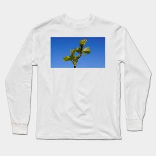 Budburst in the Vineyard - Magpie Springs - Adelaide Hills Wine Region - Fleurieu Peninsula - Winery Long Sleeve T-Shirt